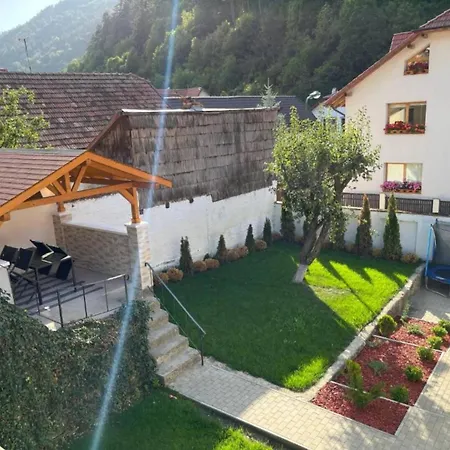 Apartament Schei *
