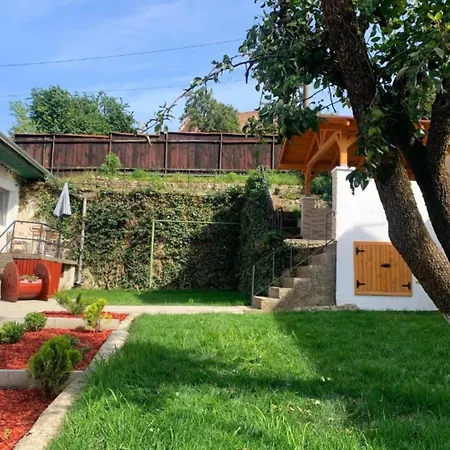 Schei Apartment Brasov