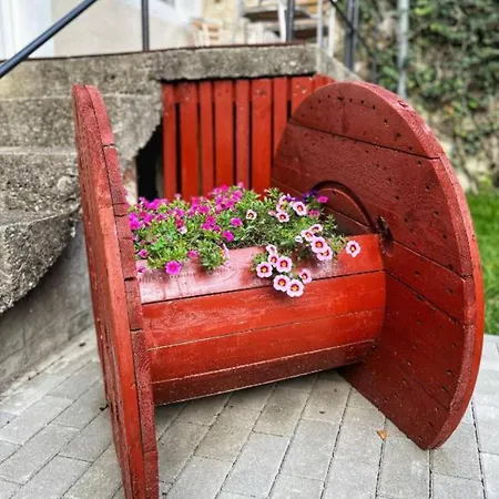 Apartment Schei Brasov